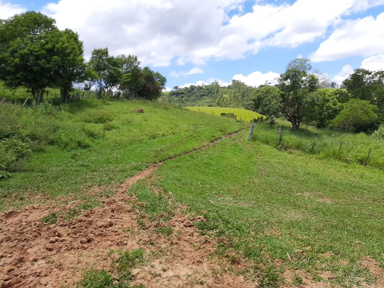 Small farm for sale of 60 acres in São Miguel Arcanjo, SP, Brazil