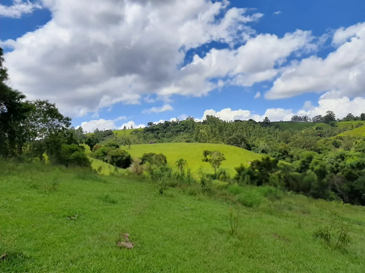 Small farm for sale of 60 acres in São Miguel Arcanjo, SP, Brazil