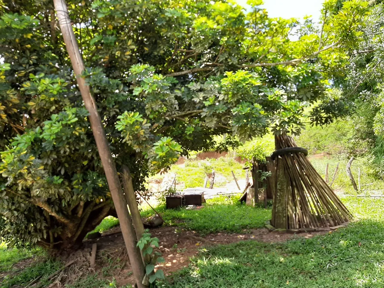 Small farm for sale of 60 acres in São Miguel Arcanjo, SP, Brazil