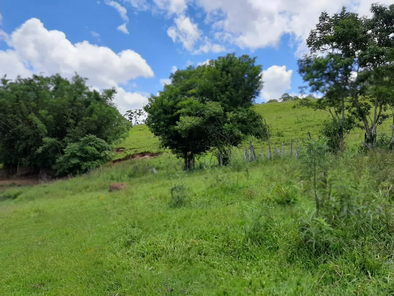 Small farm for sale of 60 acres in São Miguel Arcanjo, SP, Brazil