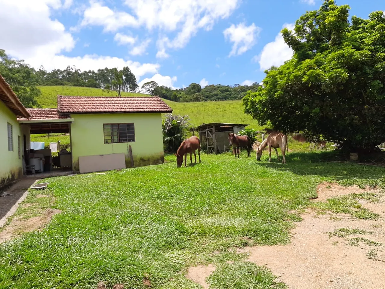 Small farm for sale of 60 acres in São Miguel Arcanjo, SP, Brazil