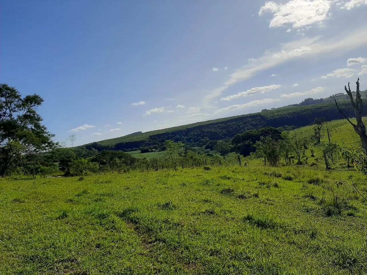 Small farm for sale of 60 acres in São Miguel Arcanjo, SP, Brazil
