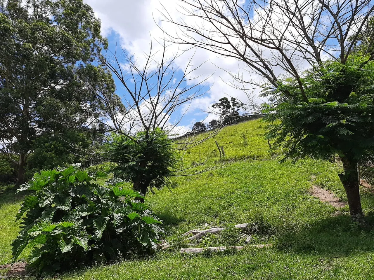 Small farm for sale of 60 acres in São Miguel Arcanjo, SP, Brazil