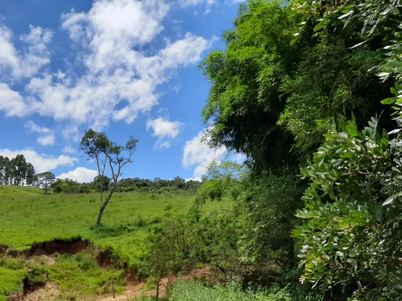 Small farm for sale of 60 acres in São Miguel Arcanjo, SP, Brazil