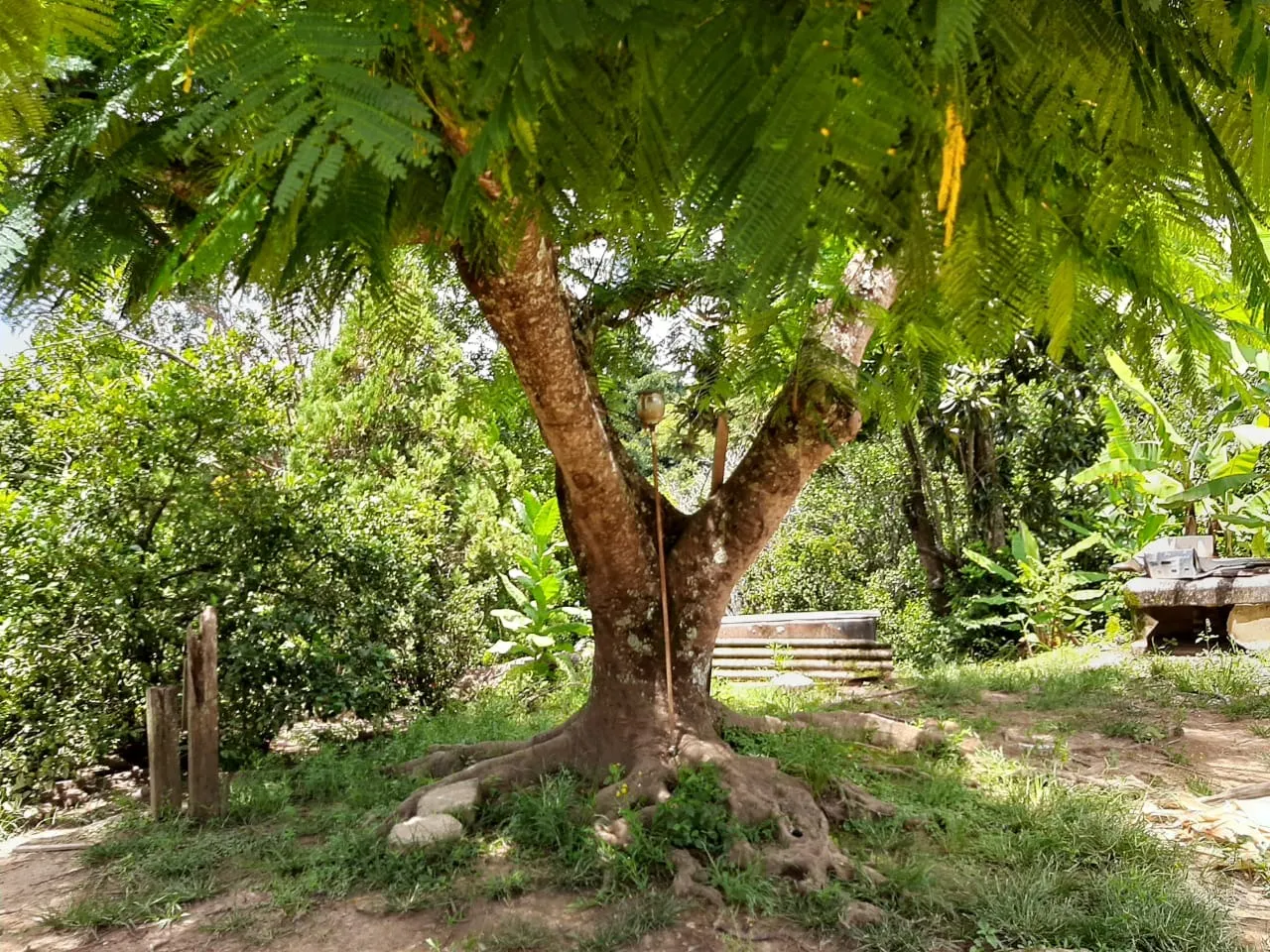 Small farm for sale of 60 acres in São Miguel Arcanjo, SP, Brazil