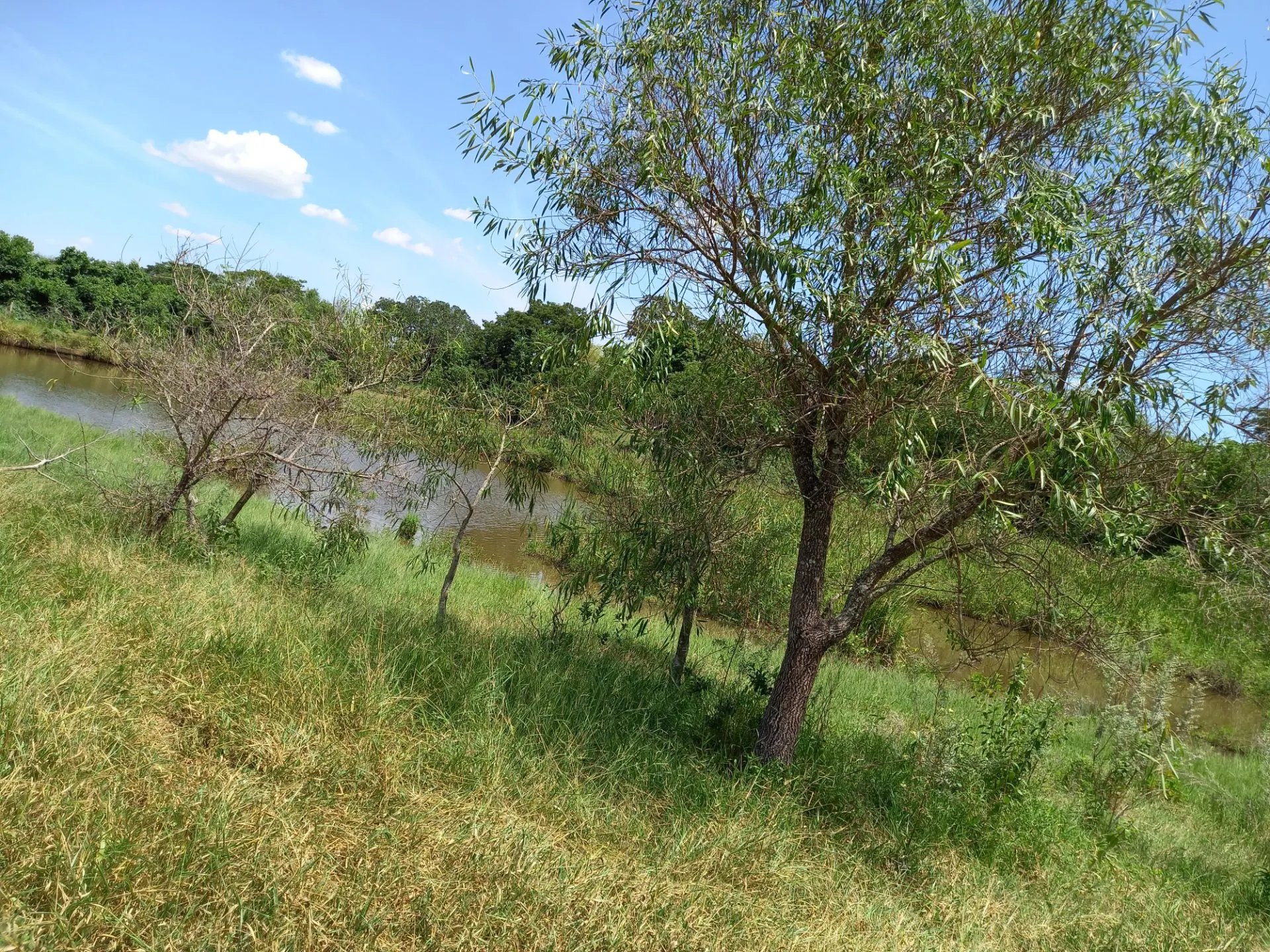 Country home for sale of 12 acres in Dracena, SP, Brazil