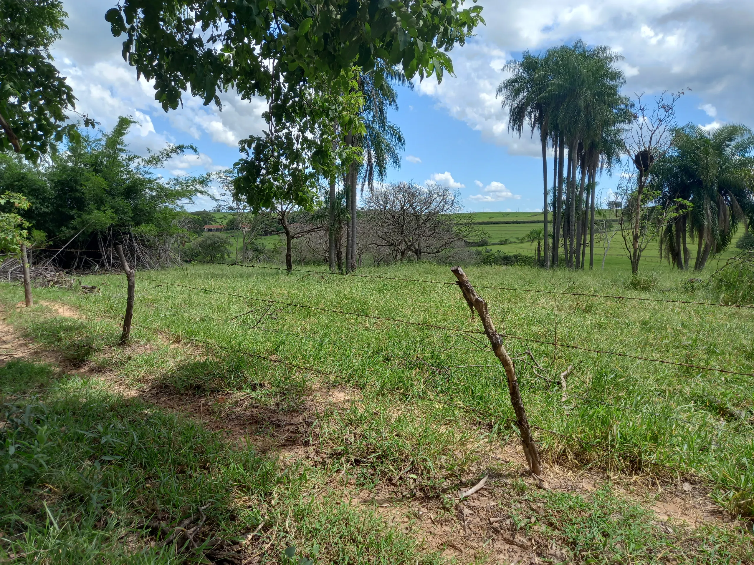 Country home for sale of 12 acres in Dracena, SP, Brazil
