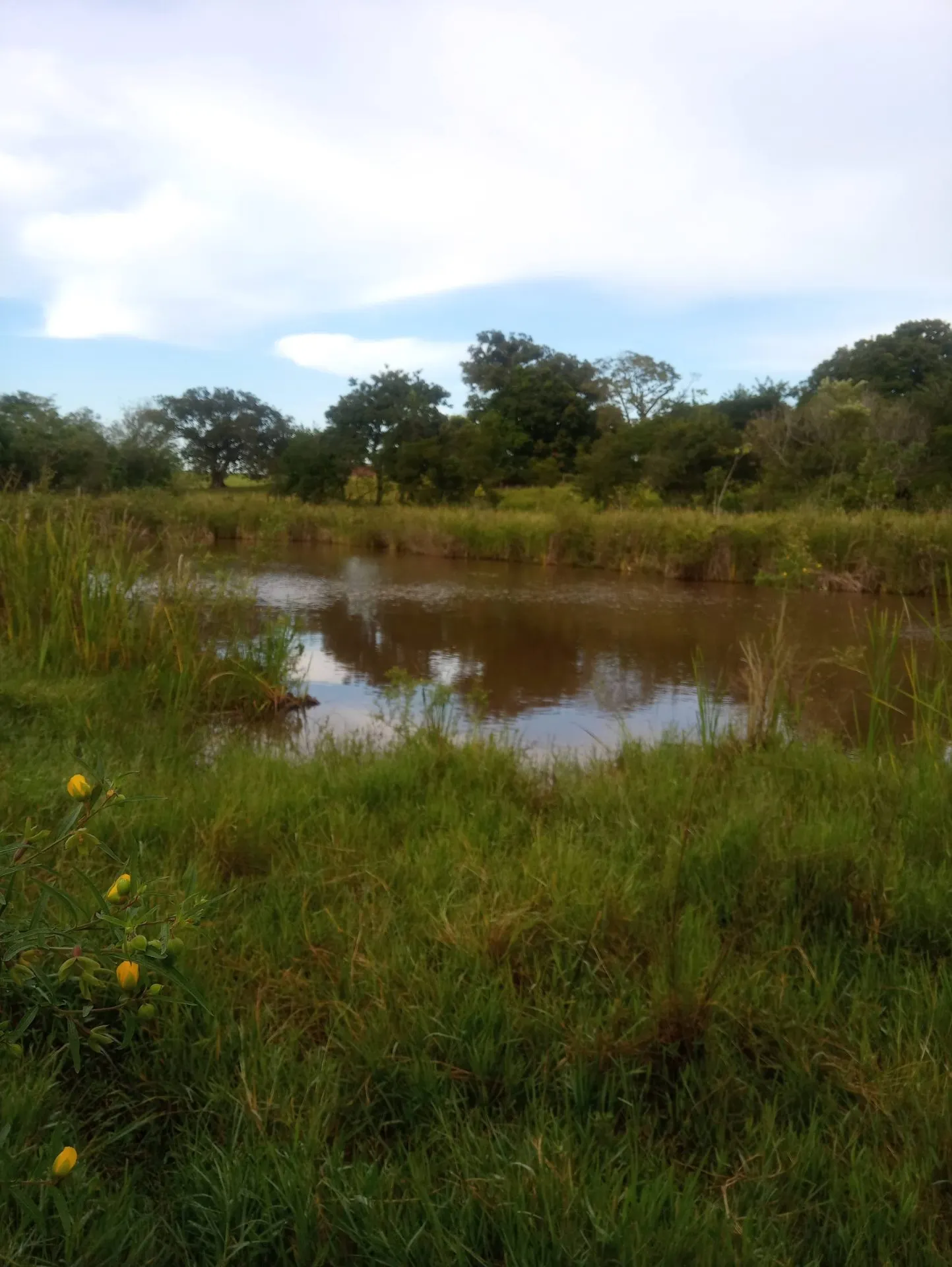Country home for sale of 12 acres in Dracena, SP, Brazil