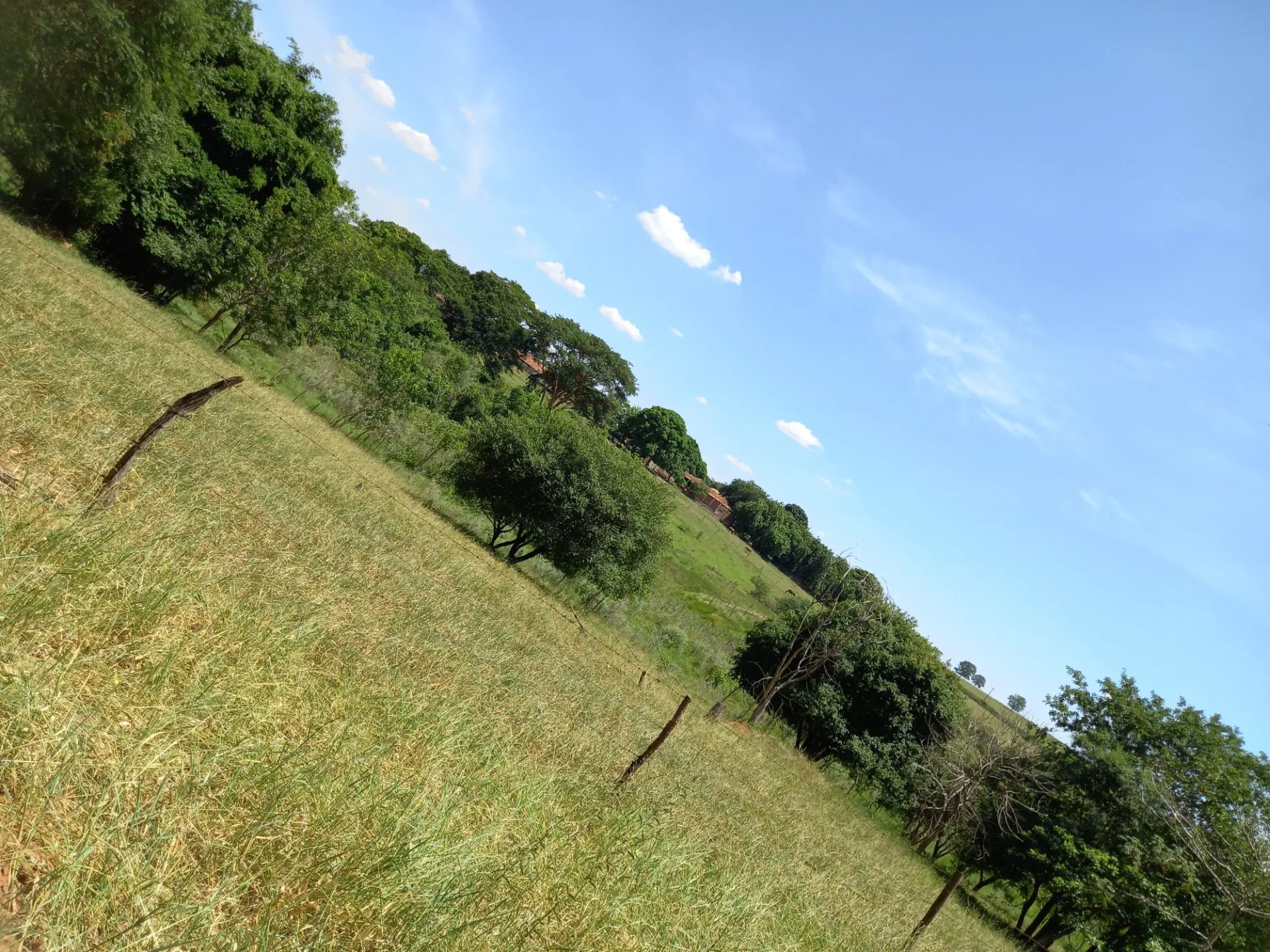 Country home for sale of 12 acres in Dracena, SP, Brazil