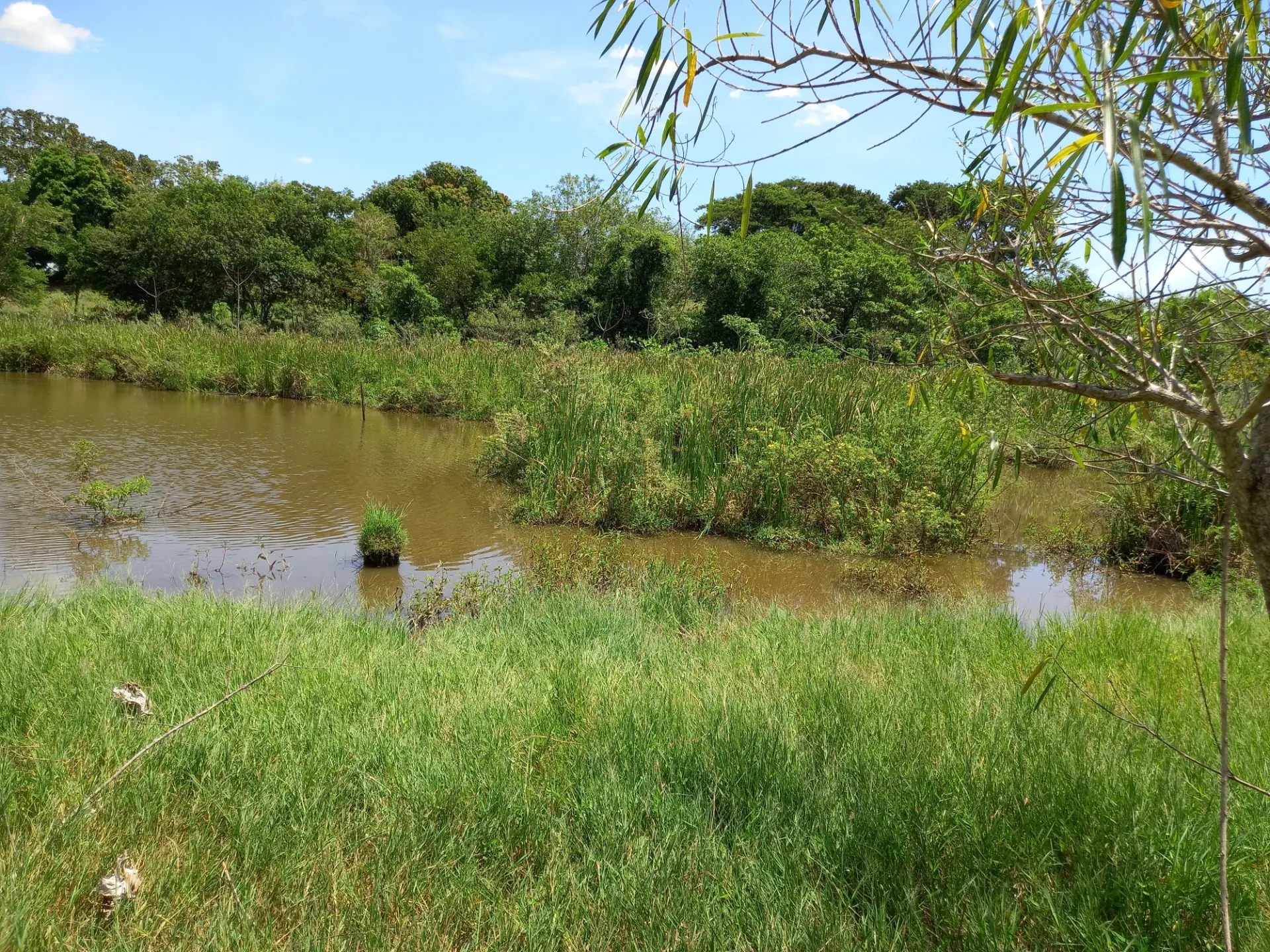 Country home for sale of 12 acres in Dracena, SP, Brazil