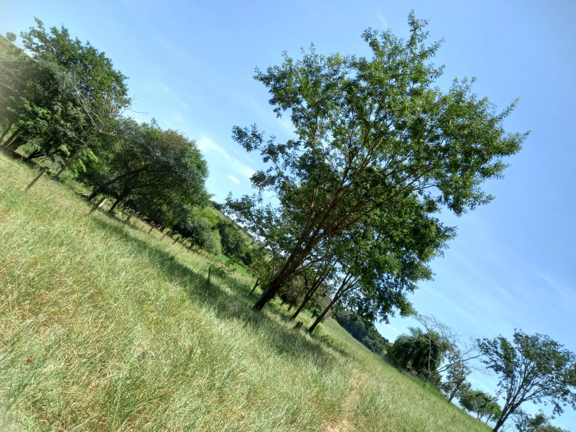 Country home for sale of 12 acres in Dracena, SP, Brazil