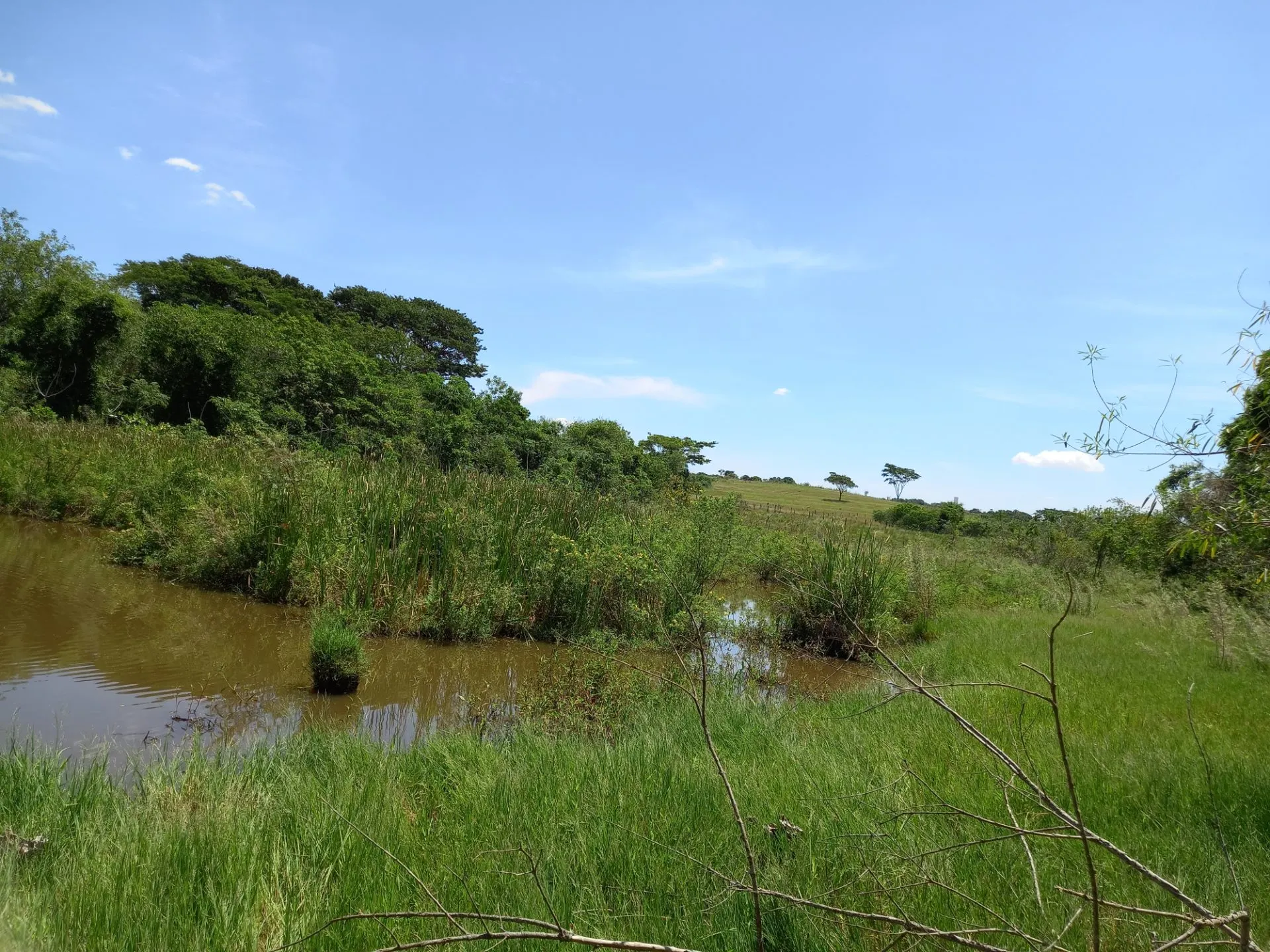 Country home for sale of 12 acres in Dracena, SP, Brazil