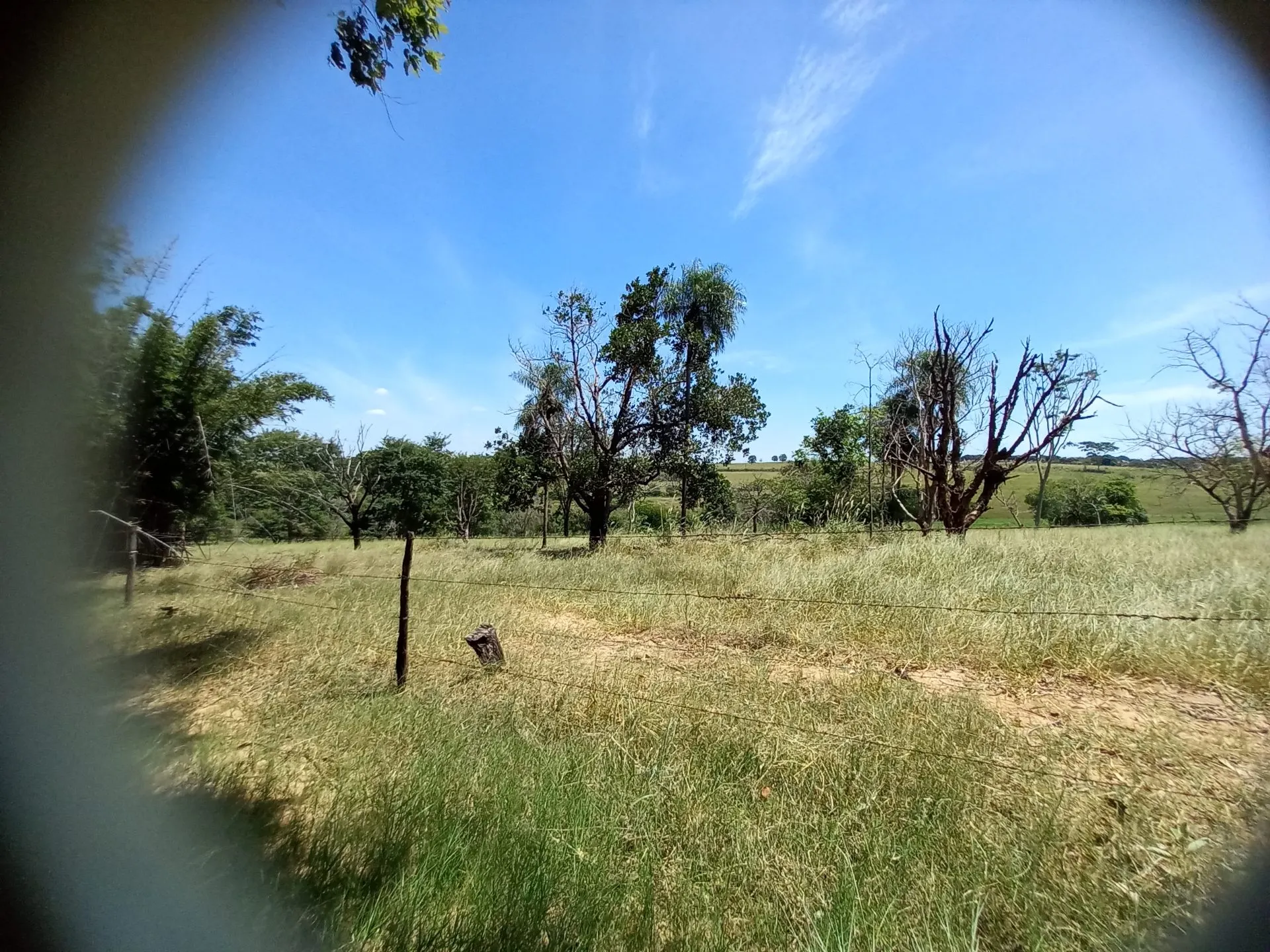 Country home for sale of 12 acres in Dracena, SP, Brazil