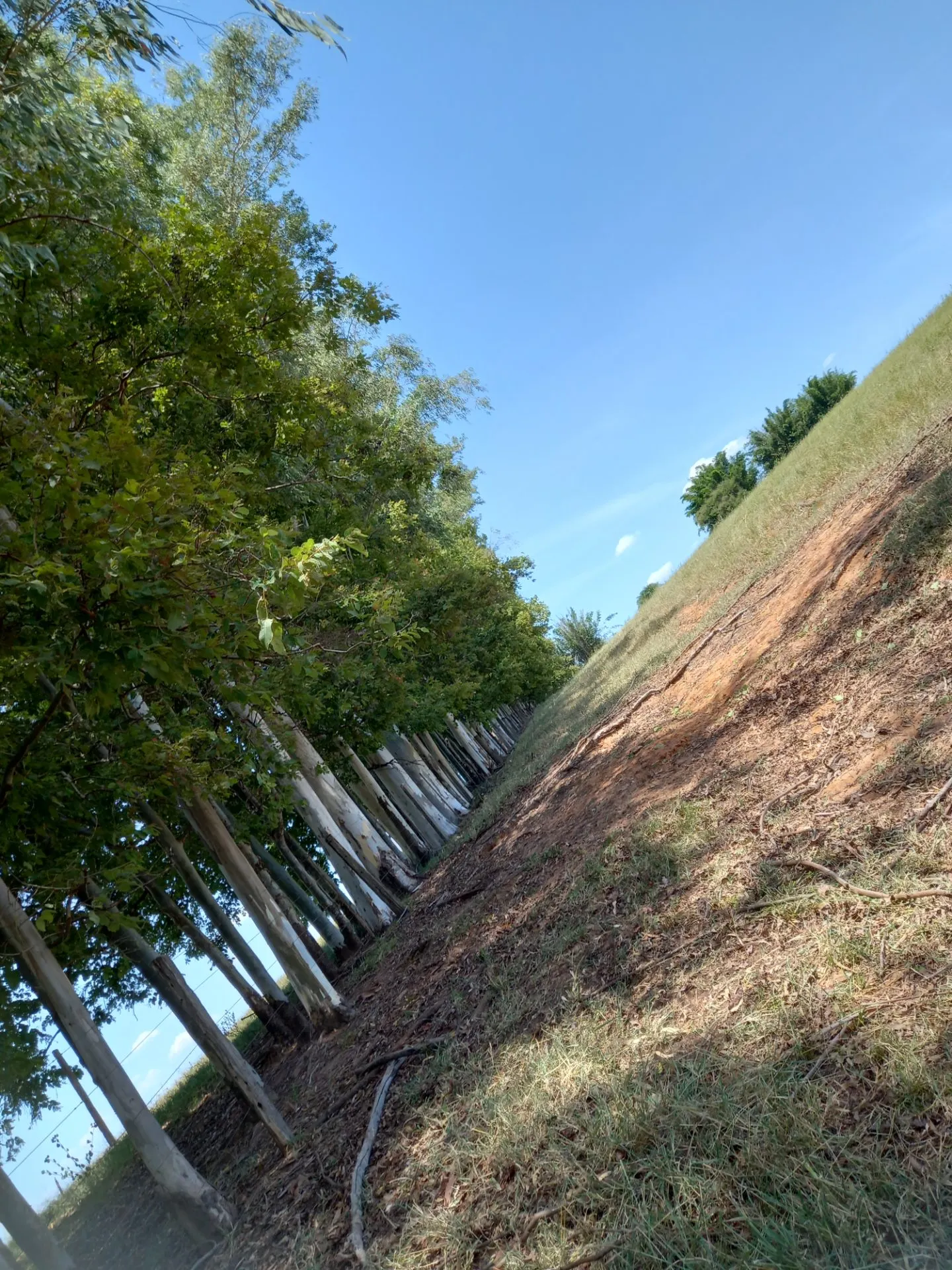 Country home for sale of 12 acres in Dracena, SP, Brazil