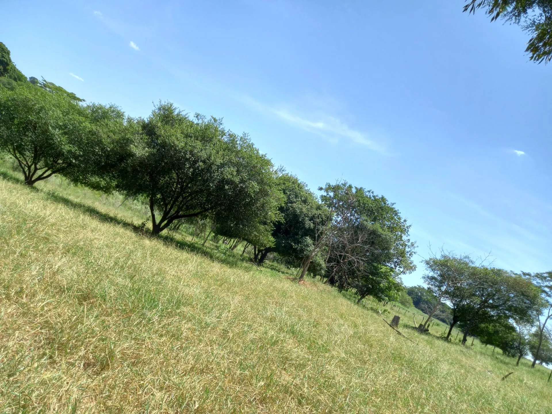 Country home for sale of 12 acres in Dracena, SP, Brazil