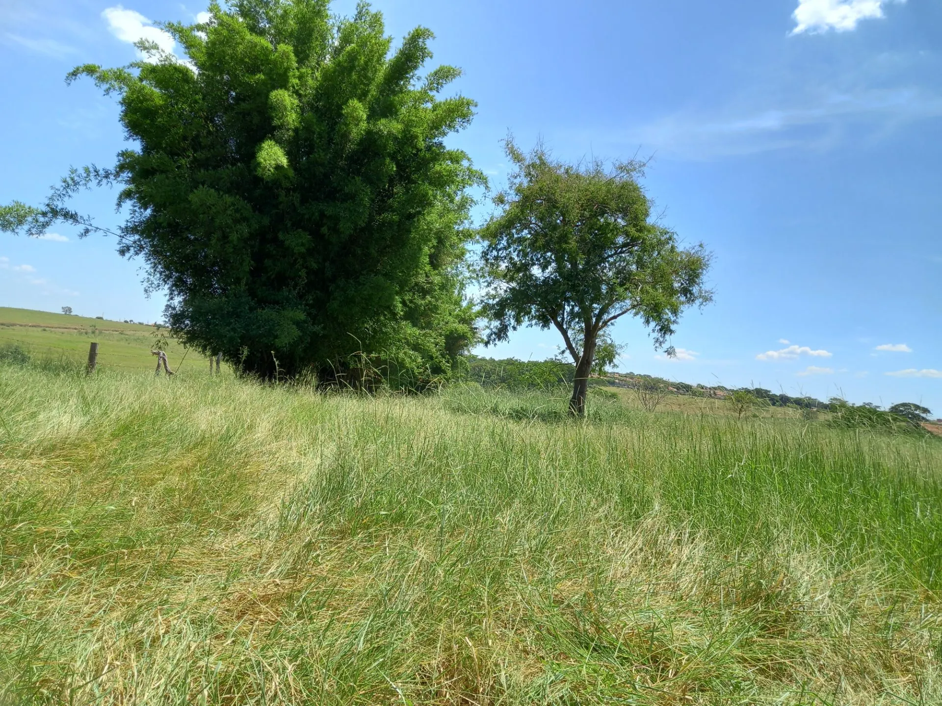 Country home for sale of 12 acres in Dracena, SP, Brazil