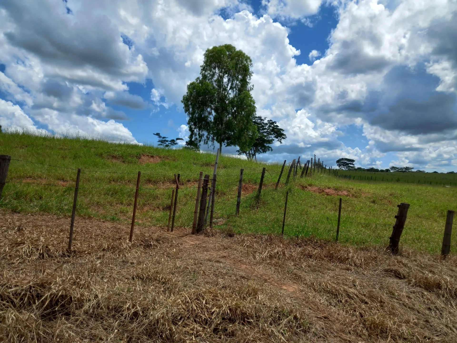 Country home for sale of 12 acres in Dracena, SP, Brazil