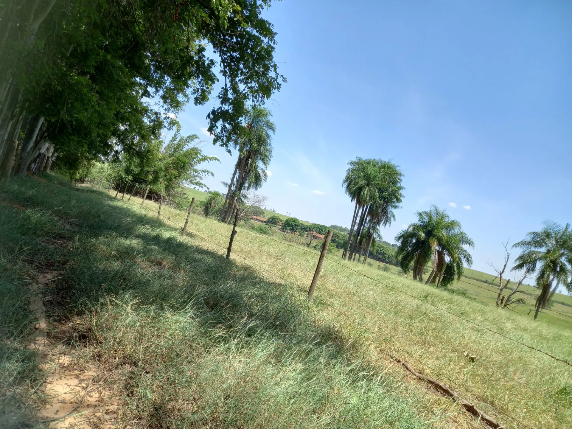 Country home for sale of 12 acres in Dracena, SP, Brazil
