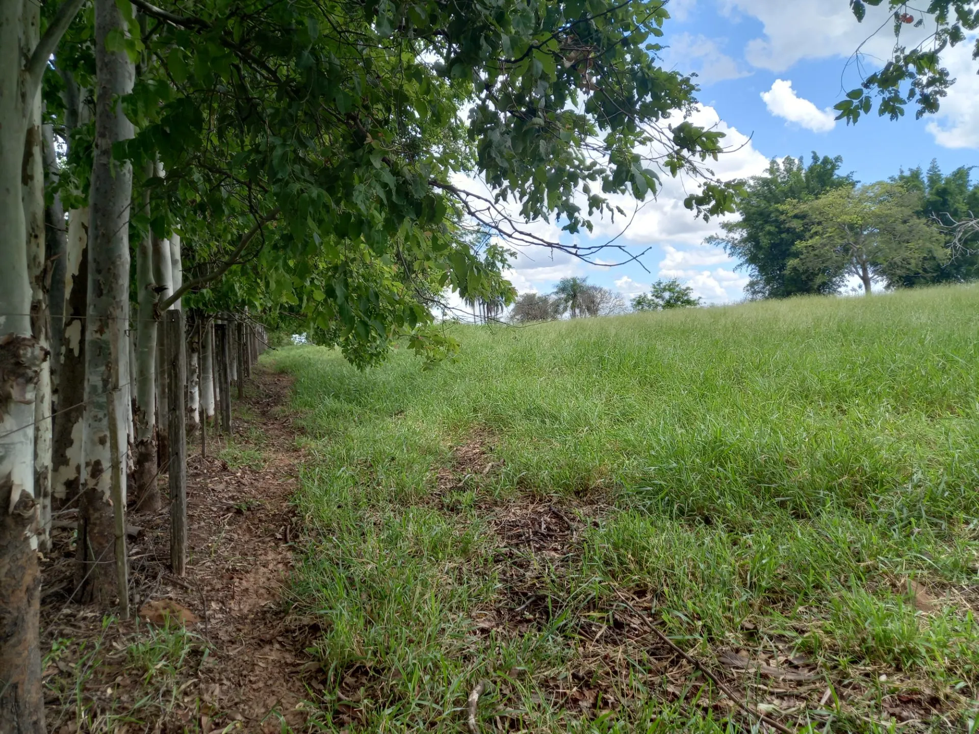Country home for sale of 12 acres in Dracena, SP, Brazil