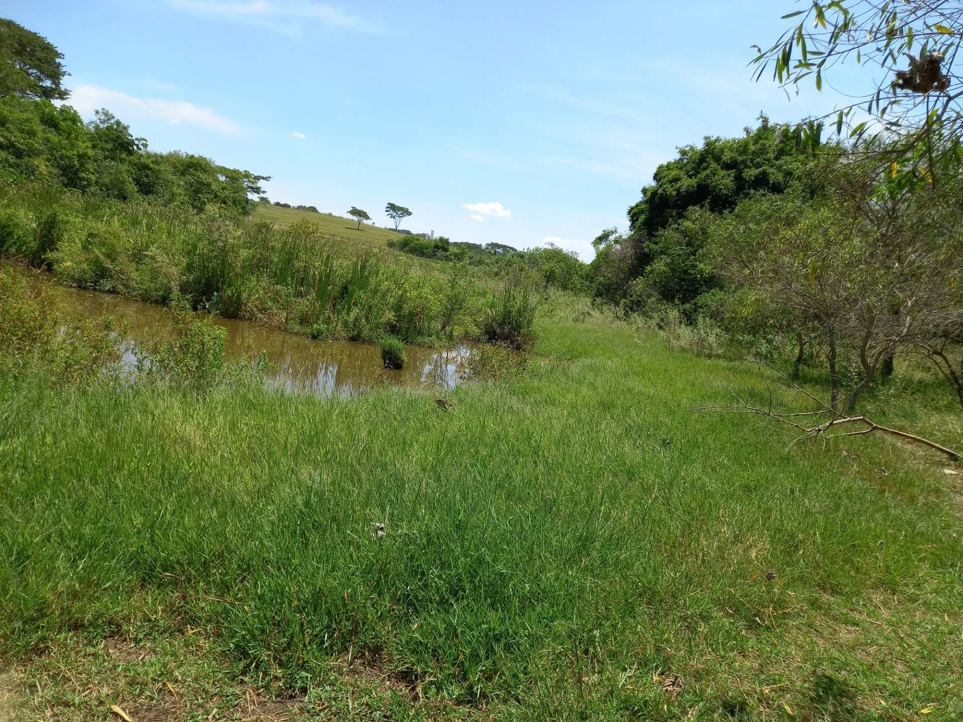 Country home for sale of 12 acres in Dracena, SP, Brazil