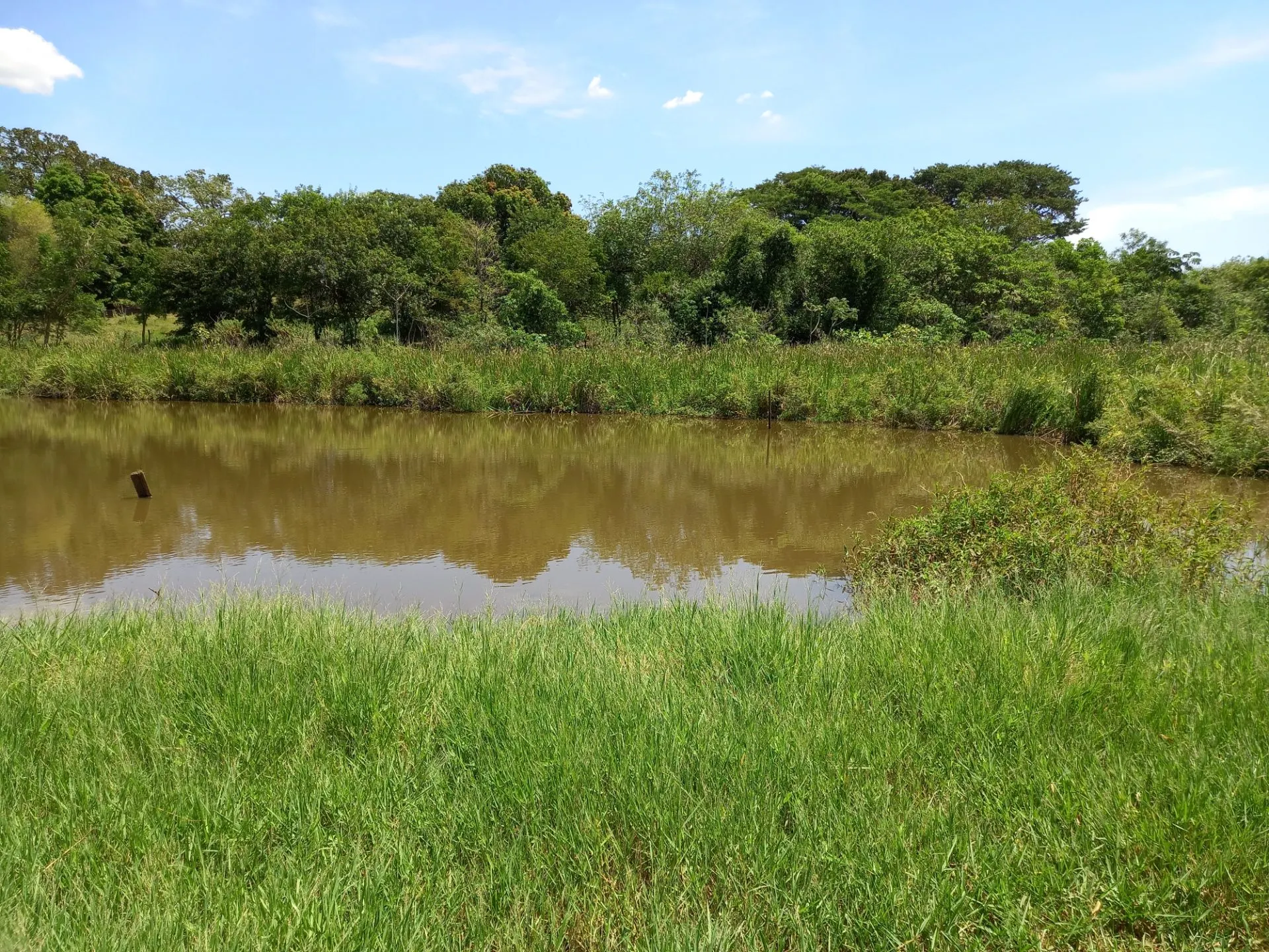 Country home for sale of 12 acres in Dracena, SP, Brazil