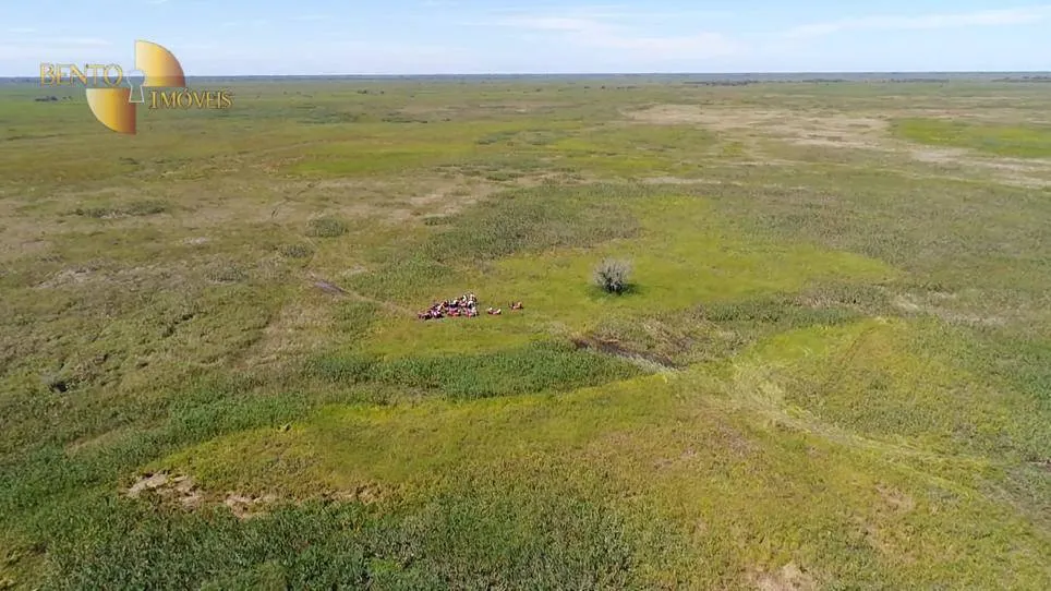 Farm for sale of 216,217 acres in Poconé, MT, Brazil