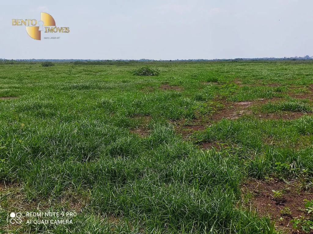 Farm for sale of 216,217 acres in Poconé, MT, Brazil