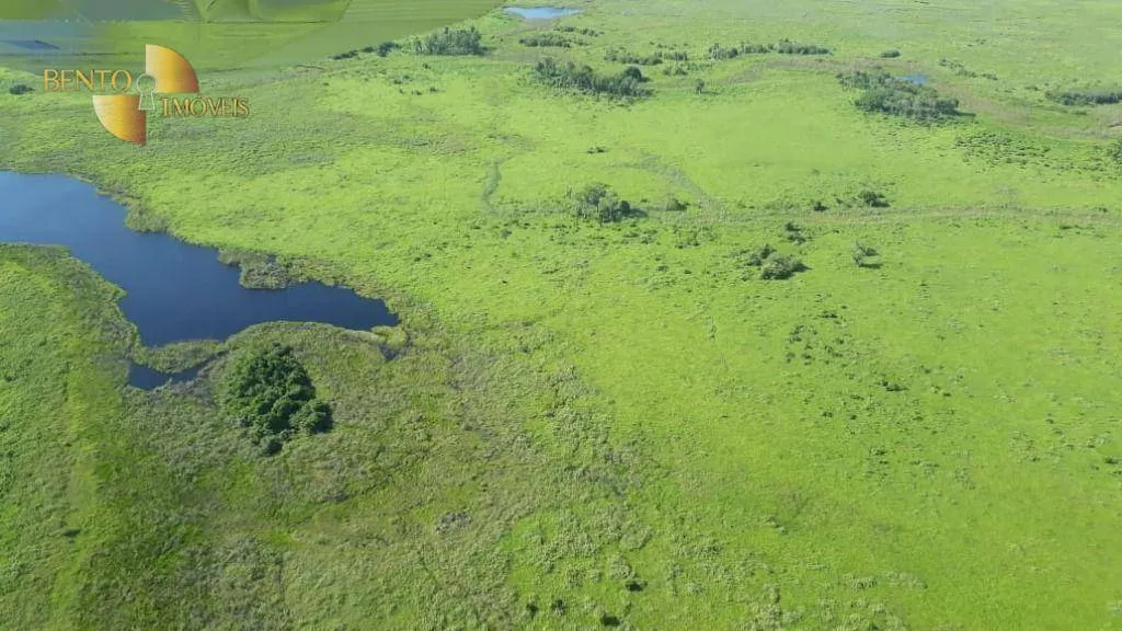 Farm for sale of 216,217 acres in Poconé, MT, Brazil