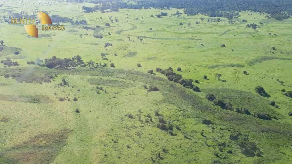 Farm for sale of 216,217 acres in Poconé, MT, Brazil