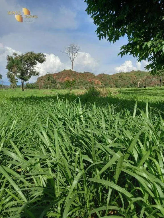Farm for sale of 741 acres in Campo Verde, MT, Brazil