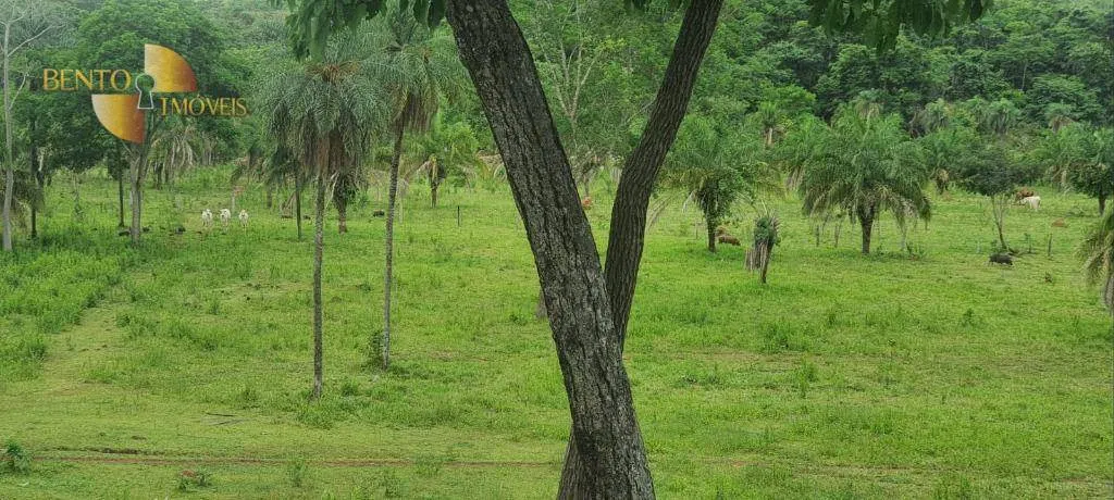 Farm for sale of 741 acres in Campo Verde, MT, Brazil