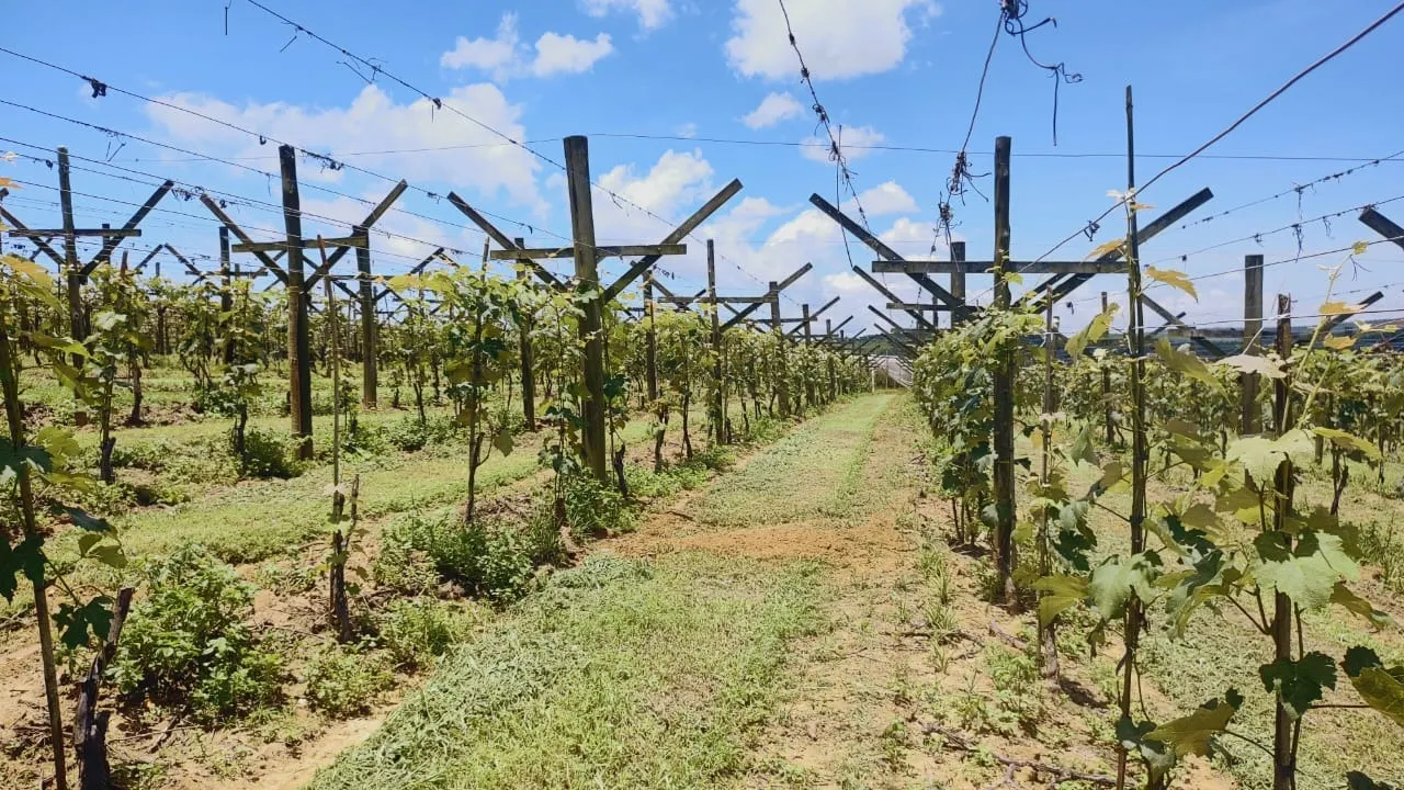Chácara à venda de 4 ha em São Miguel Arcanjo, SP, Brasil