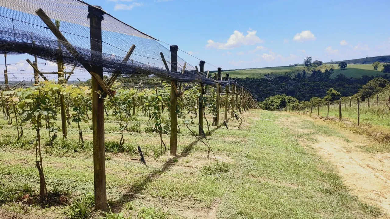 Chácara à venda de 4 ha em São Miguel Arcanjo, SP, Brasil