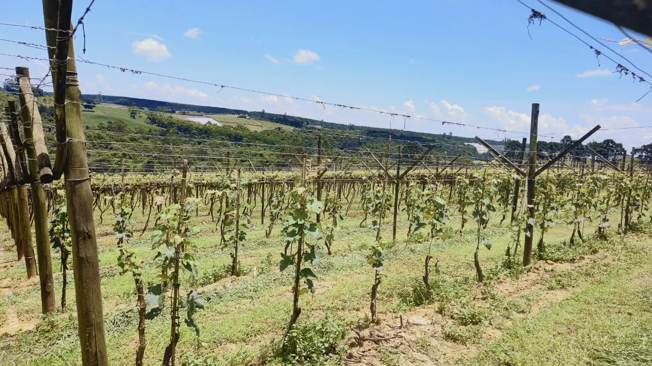 Chácara à venda de 4 ha em São Miguel Arcanjo, SP, Brasil
