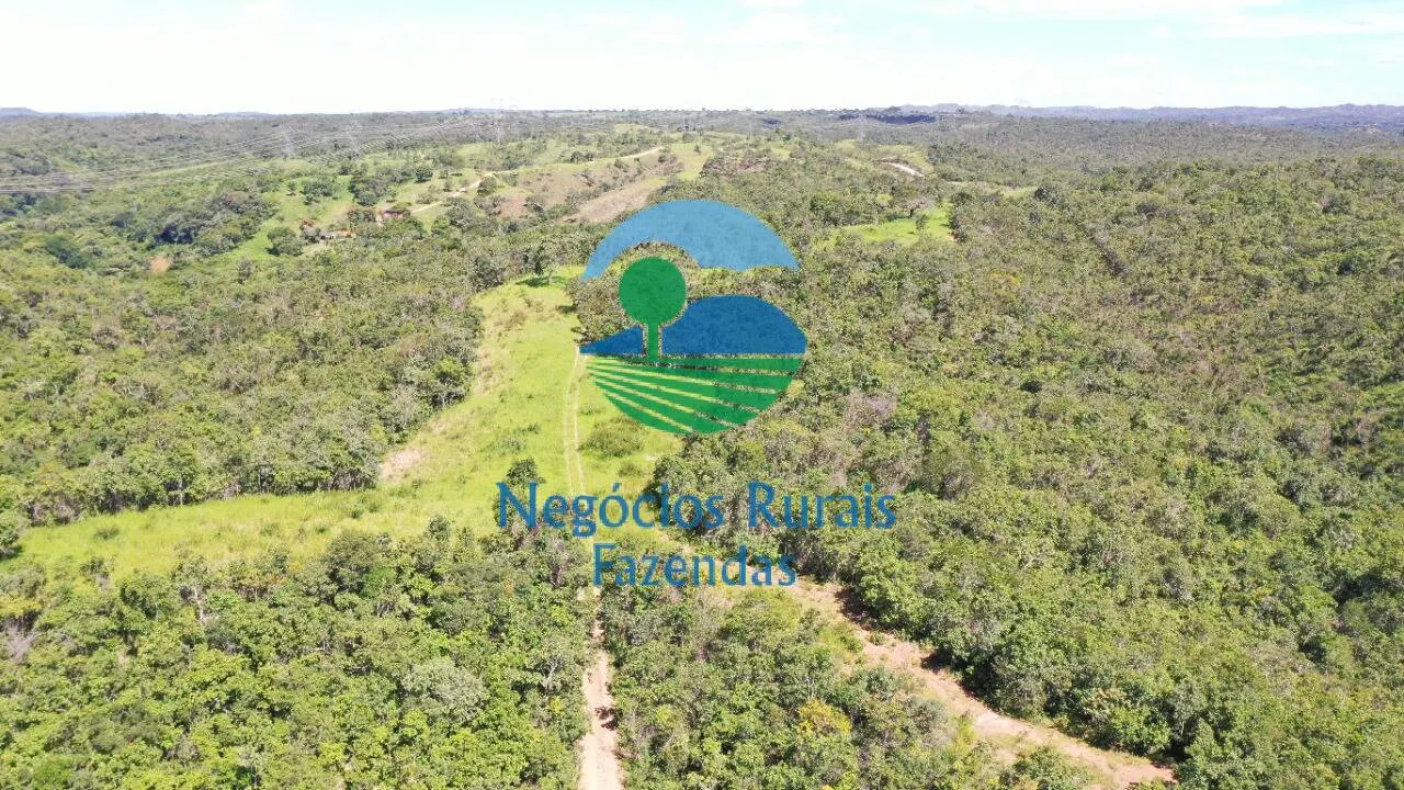 Fazenda à venda de 537 ha em Padre Bernardo, GO, Brasil