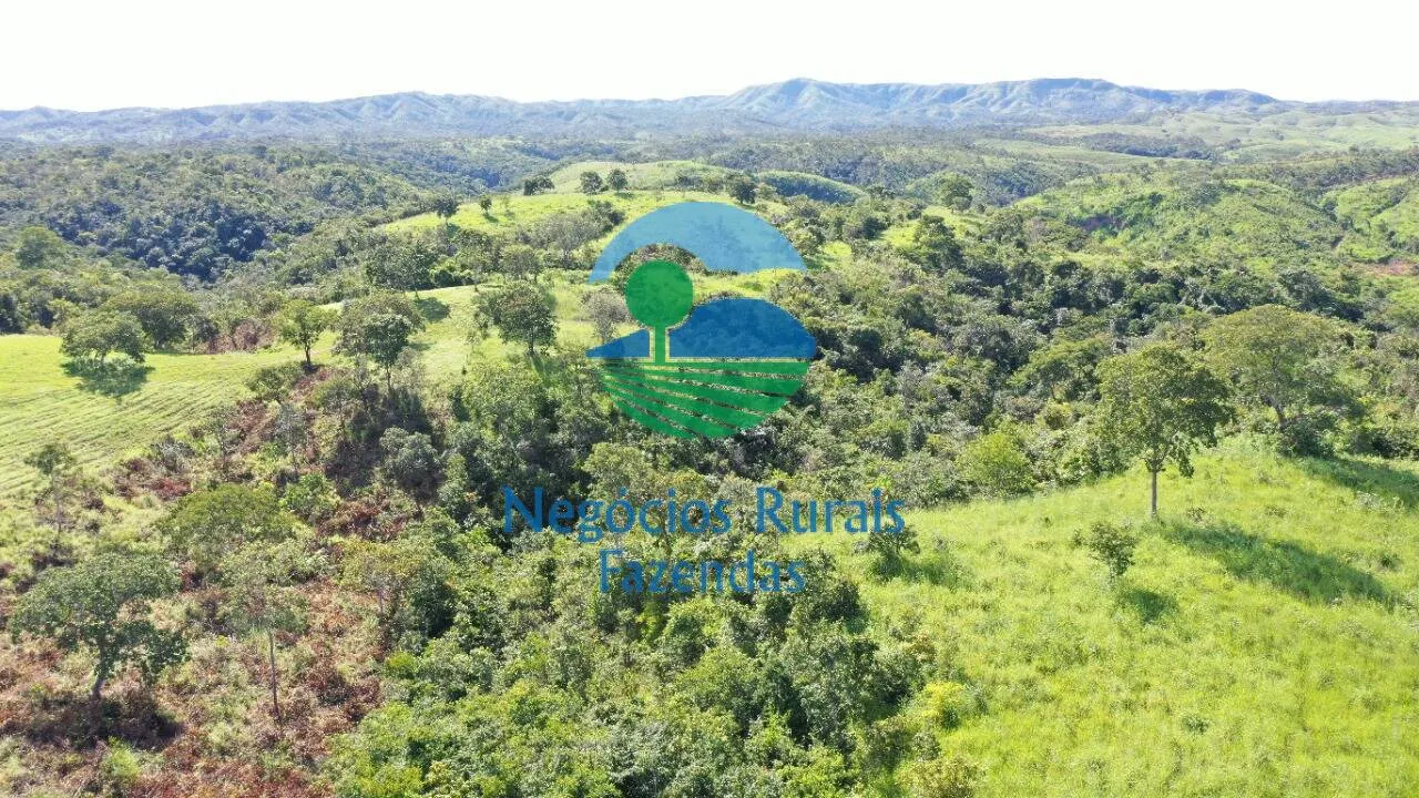 Fazenda à venda de 537 ha em Padre Bernardo, GO, Brasil