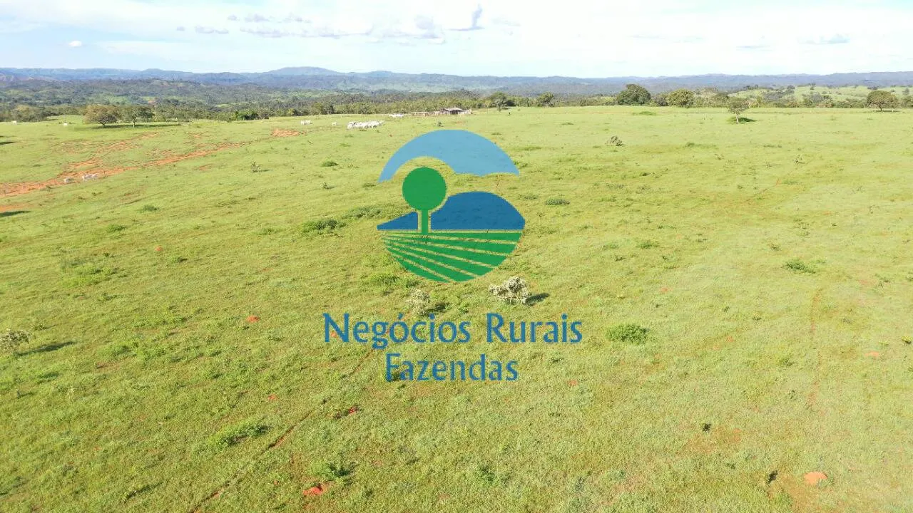 Fazenda à venda de 537 ha em Padre Bernardo, GO, Brasil
