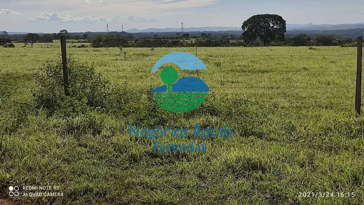 Fazenda à venda de 537 ha em Padre Bernardo, GO, Brasil