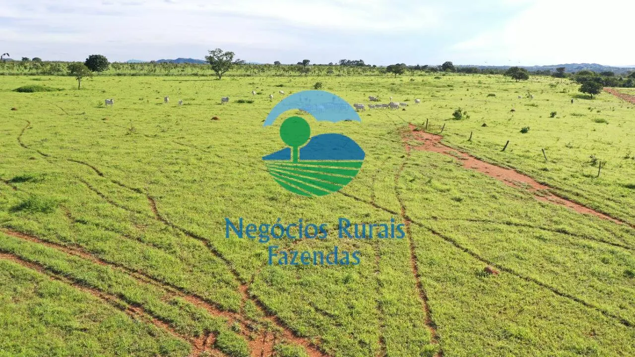 Fazenda à venda de 537 ha em Padre Bernardo, GO, Brasil