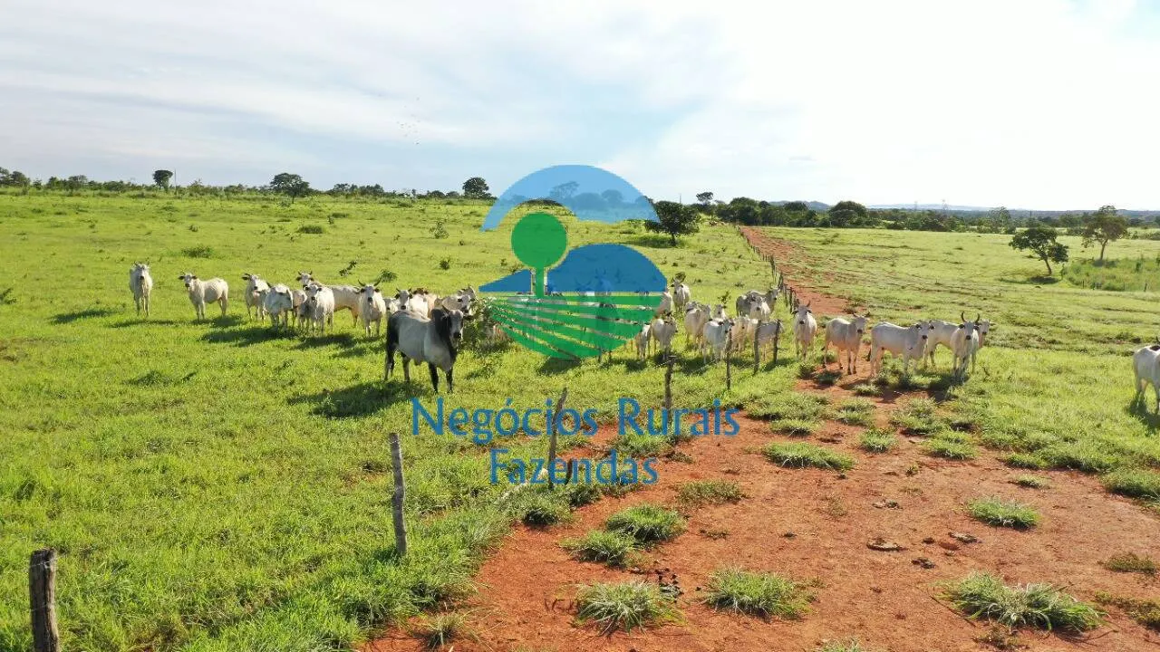 Fazenda à venda de 537 ha em Padre Bernardo, GO, Brasil