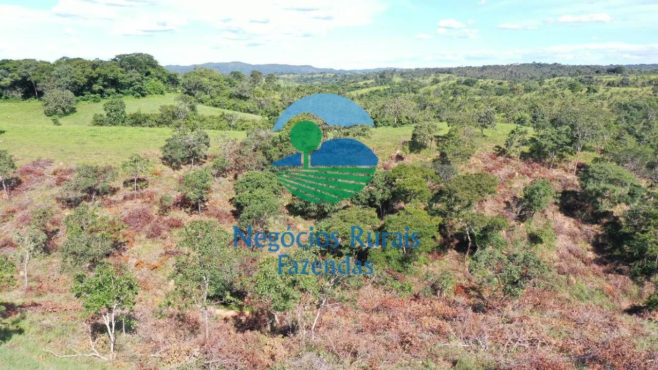 Fazenda à venda de 537 ha em Padre Bernardo, GO, Brasil