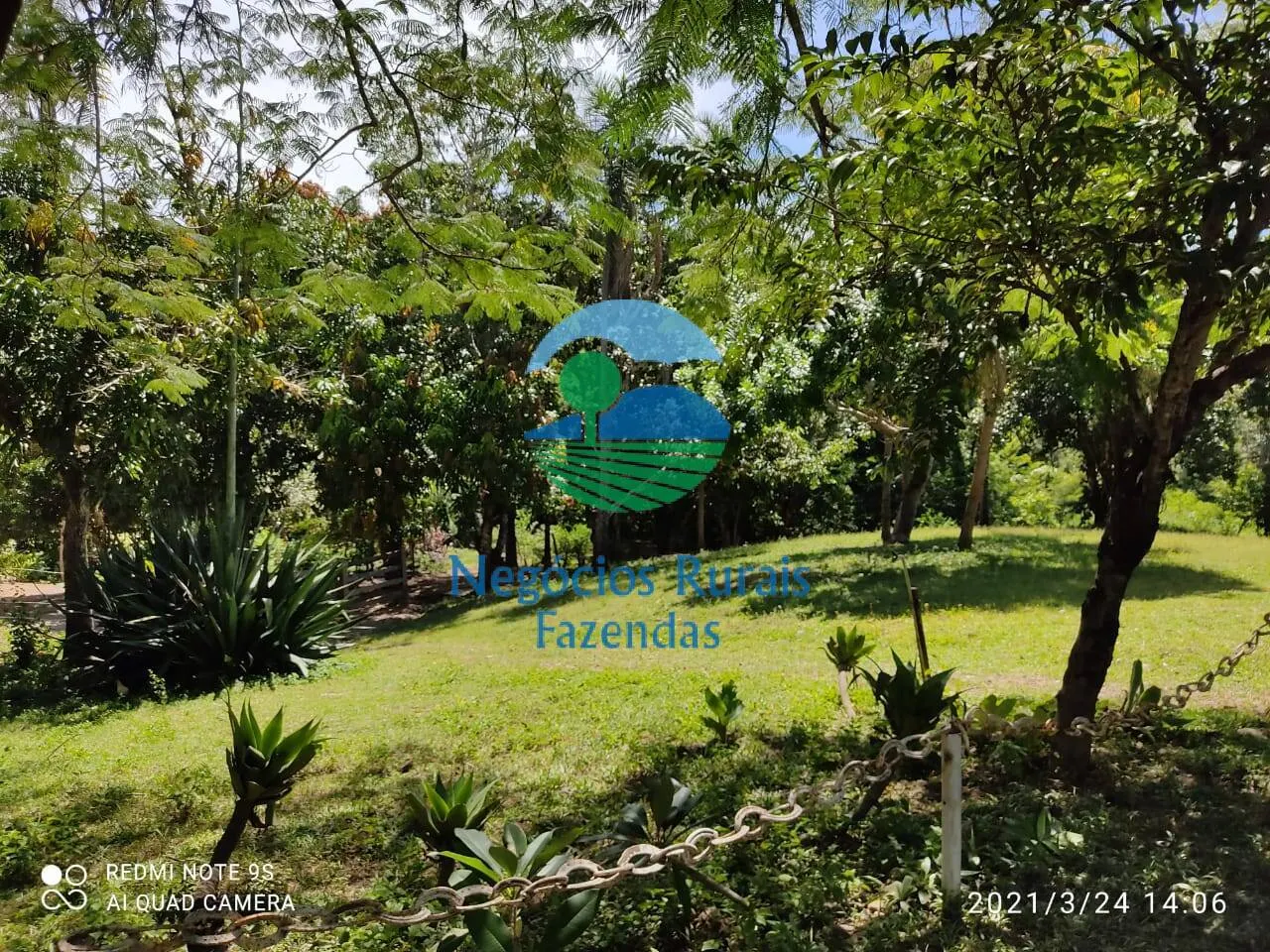 Fazenda à venda de 537 ha em Padre Bernardo, GO, Brasil