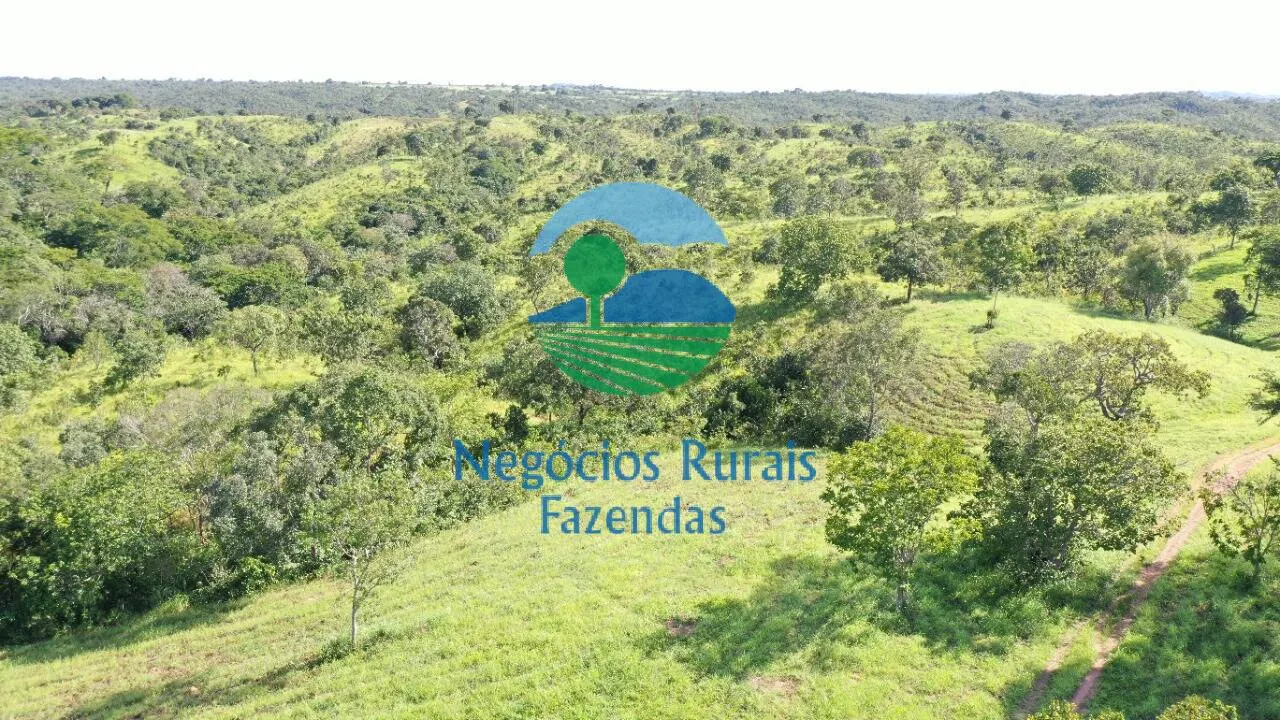 Fazenda à venda de 537 ha em Padre Bernardo, GO, Brasil