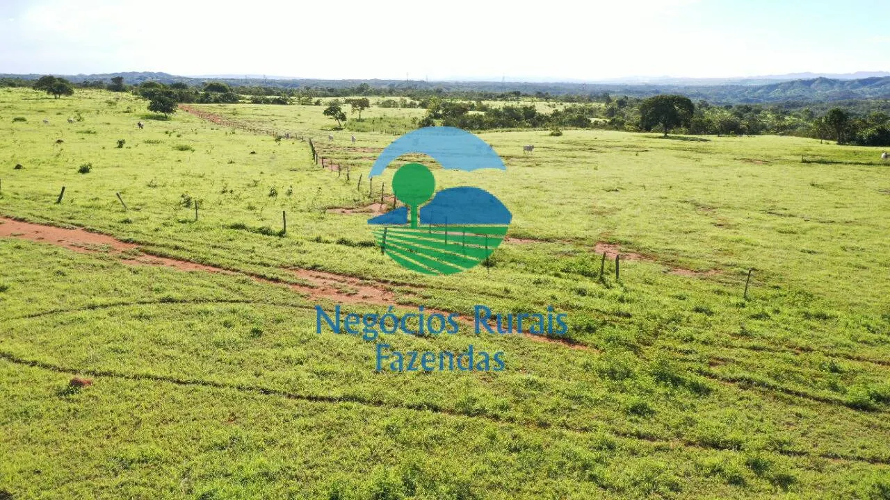 Fazenda à venda de 537 ha em Padre Bernardo, GO, Brasil