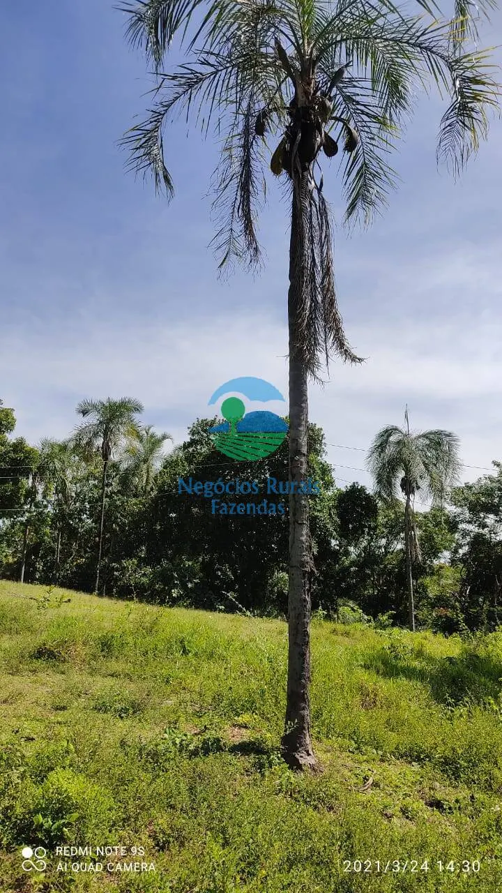 Fazenda à venda de 537 ha em Padre Bernardo, GO, Brasil