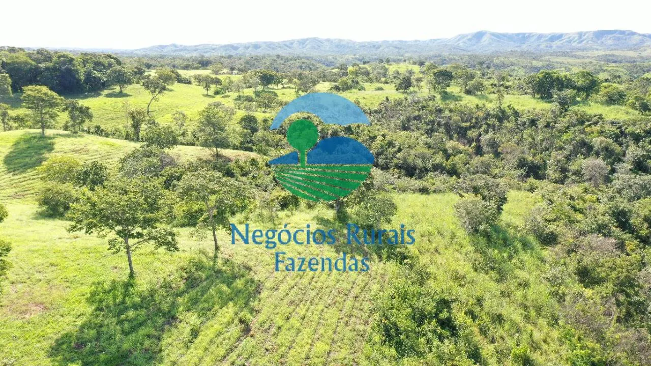Fazenda à venda de 537 ha em Padre Bernardo, GO, Brasil