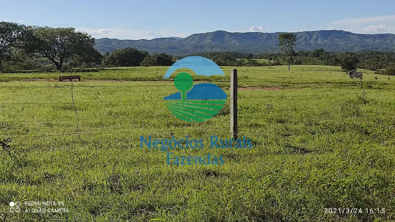 Fazenda à venda de 537 ha em Padre Bernardo, GO, Brasil