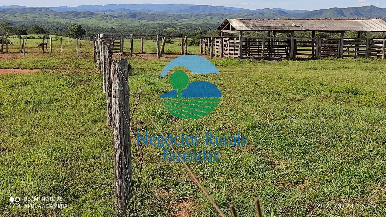 Fazenda à venda de 537 ha em Padre Bernardo, GO, Brasil
