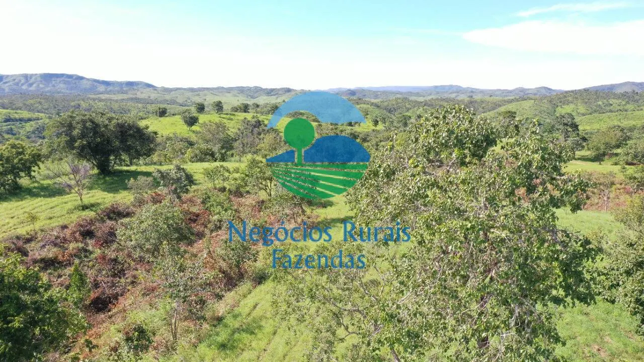 Fazenda à venda de 537 ha em Padre Bernardo, GO, Brasil