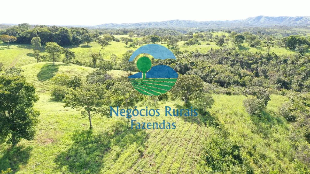 Fazenda à venda de 537 ha em Padre Bernardo, GO, Brasil